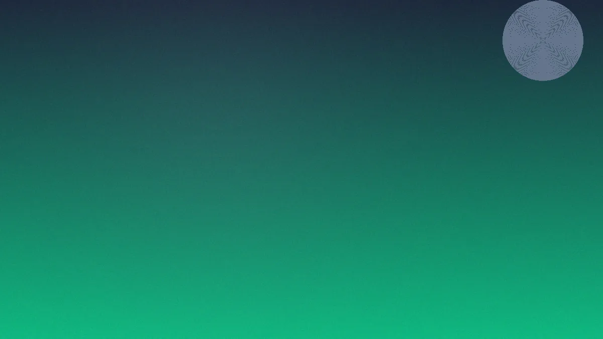 my11 app catalogue overview