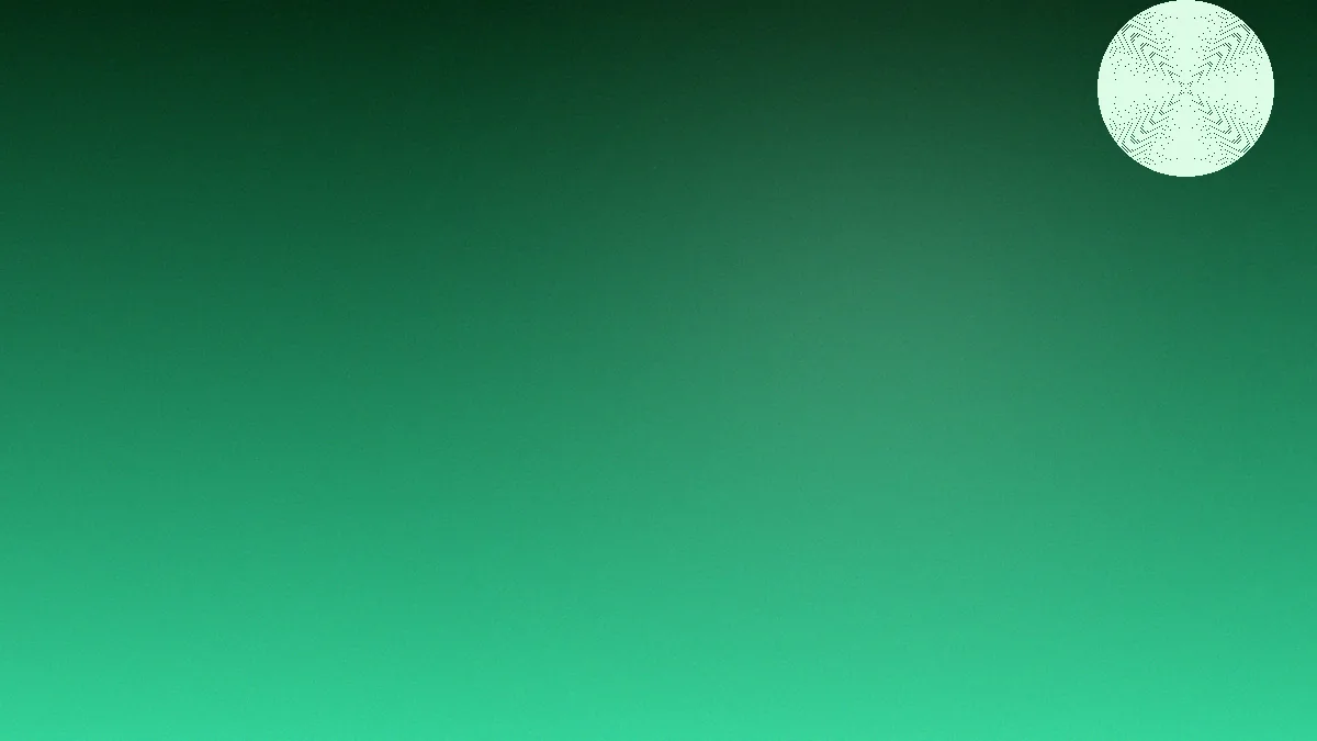 my11 app catalogue overview