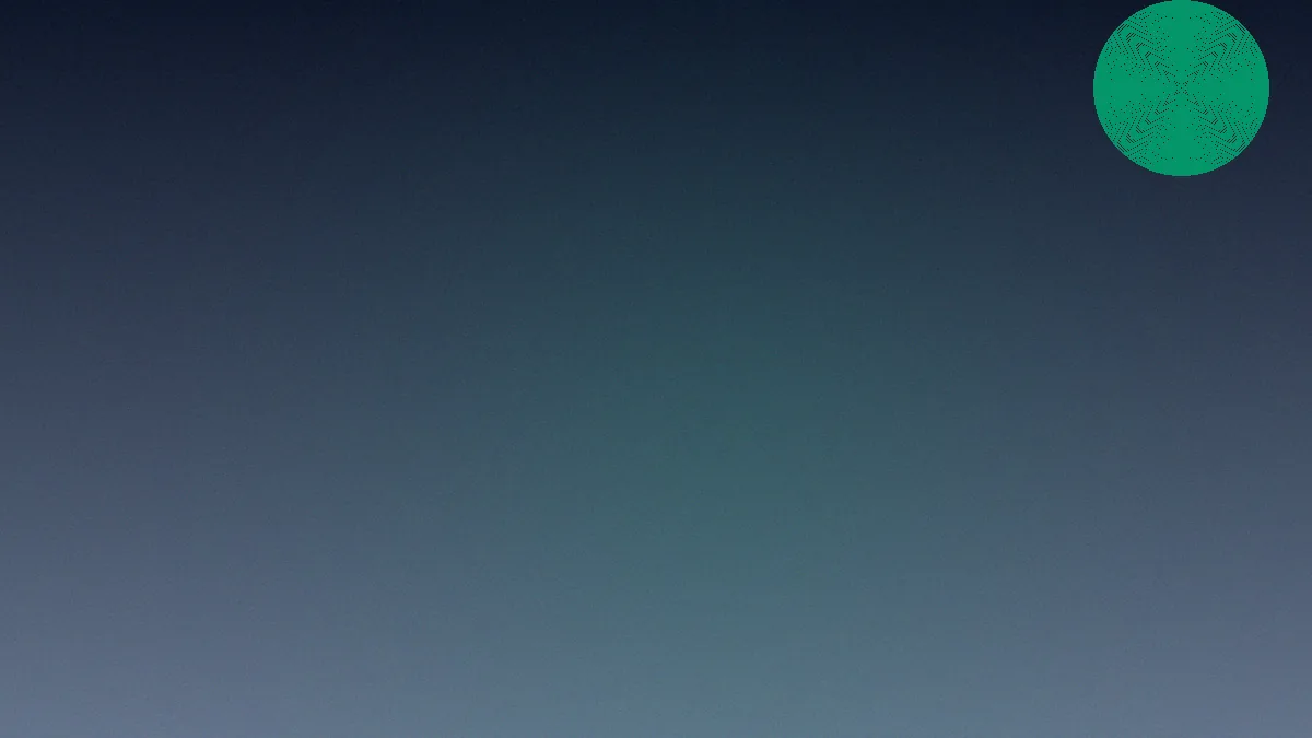 my11 app catalogue overview
