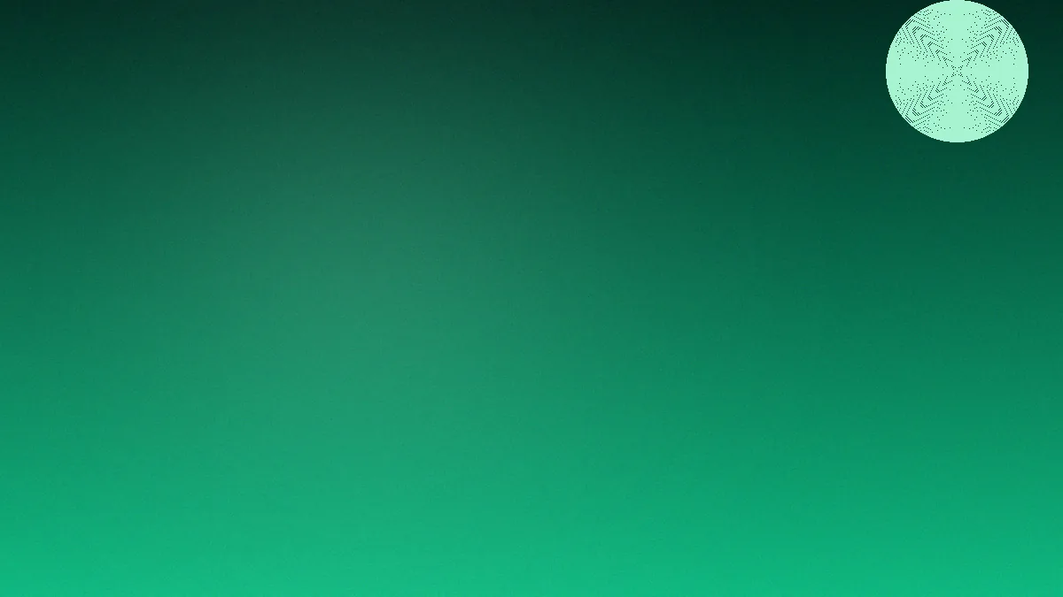 my11 app catalogue overview