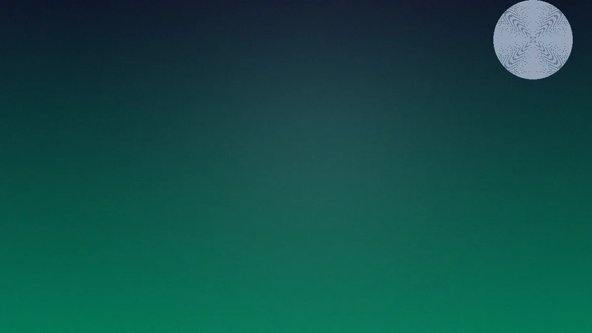 my11 app catalogue overview