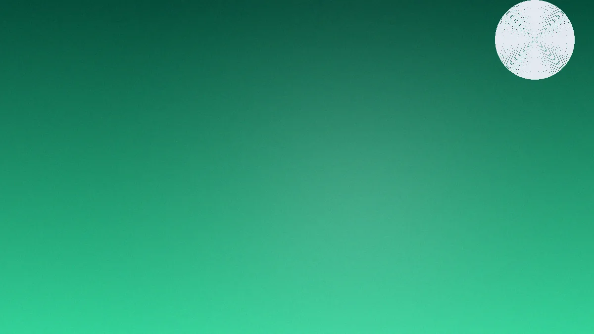 my11 app catalogue overview