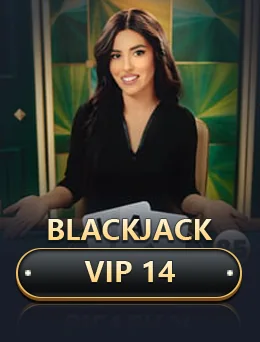 Blackjack Vip 14 game artwork