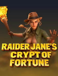 Raider Jane's Crypt of Fortune game artwork