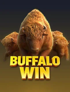 Buffalo Win game artwork